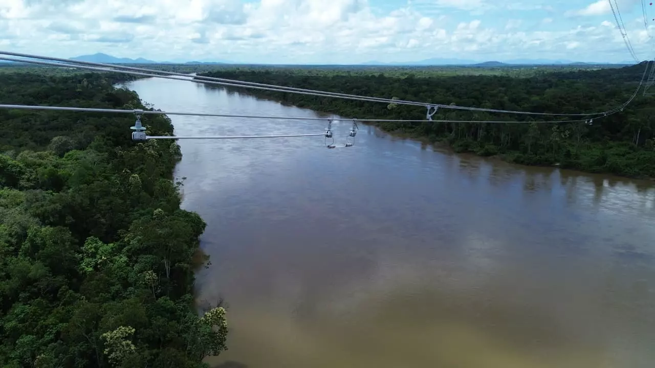 cold neon discharge balisor