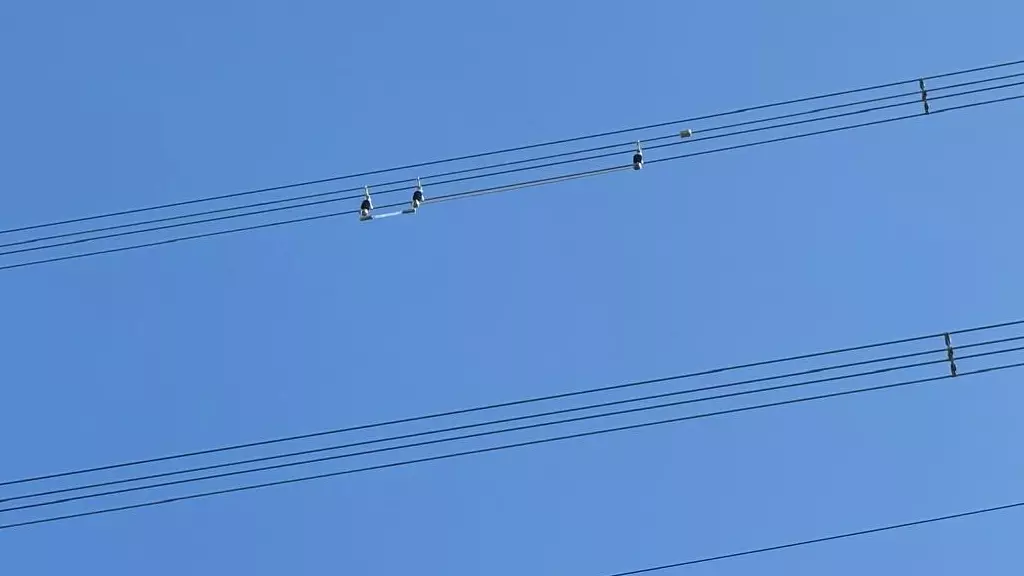 conductor warning light